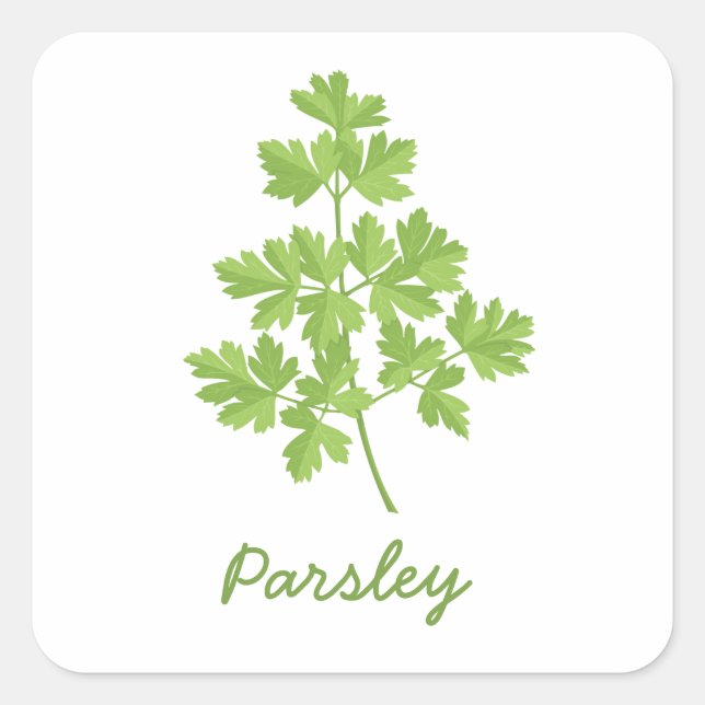 Parsley Quadratischer Aufkleber (Vorderseite)