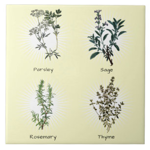 Parsley Sage Rosemary & Thyme Herbs Fliese