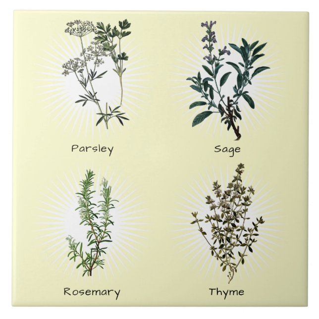 Parsley Sage Rosemary & Thyme Herbs Fliese (Vorderseite)