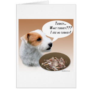 Parson Russell Terrier Türkei