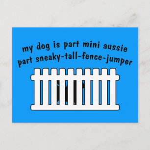 Part Mini Aussie Part Fence-Jumper Postkarte