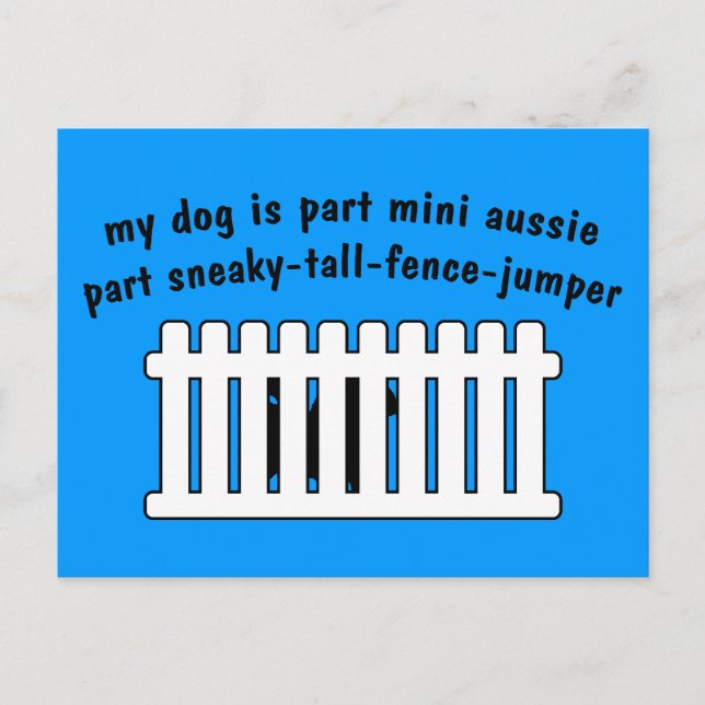 Part Mini Aussie Part Fence-Jumper Postkarte (Vorderseite)