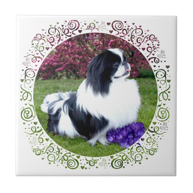 Parti-Color Pekingese Hunde Fliese (Vorderseite)