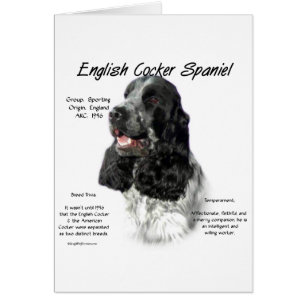Parti English Cocker Spanische Geschichte