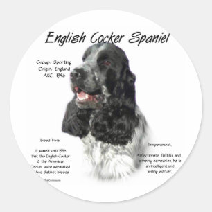 Parti English Cocker Spanische Geschichte Runder Aufkleber