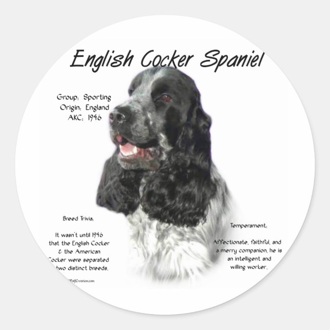 Parti English Cocker Spanische Geschichte Runder Aufkleber (Vorderseite)