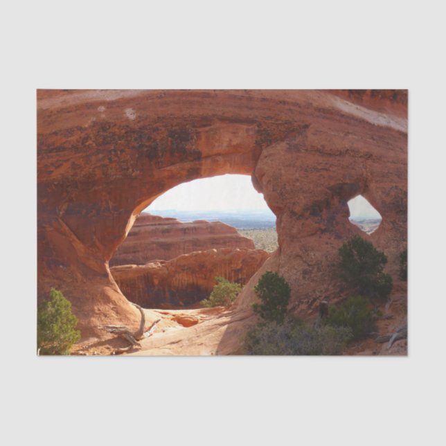 Partition Arch at Arches Nationalpark Seidenpapier (Vorderseite)