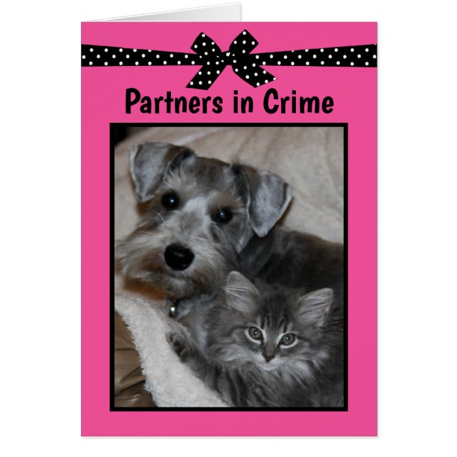 "Partner in Crime" (Vorne)
