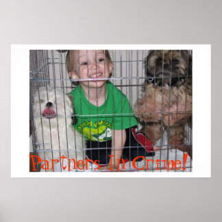 Partner in der Kriminalität! Poster