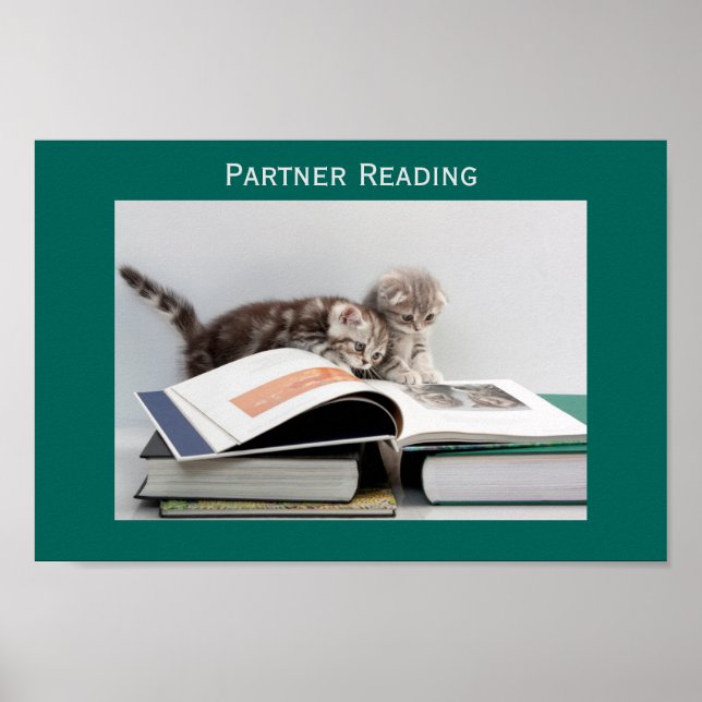 Partner Reading Classroom Poster (Vorne)