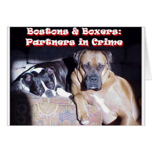 Partners - herein - Verbrechen