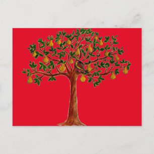 Partridge 2 in einem Pear Tree Postkarten