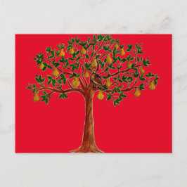 Partridge 2 in einem Pear Tree Postkarten