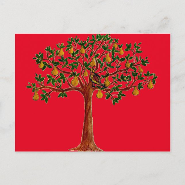 Partridge 2 in einem Pear Tree Postkarten (Vorderseite)