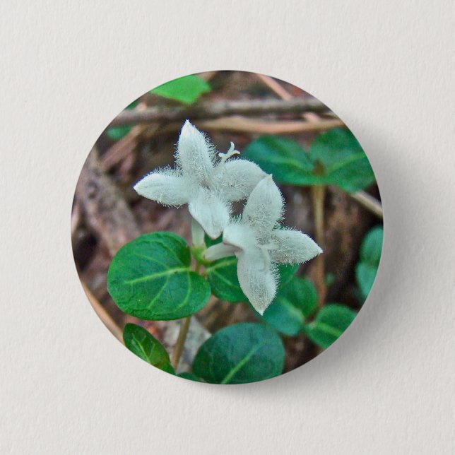 Partridge Berry Wildblume Button (Vorderseite)