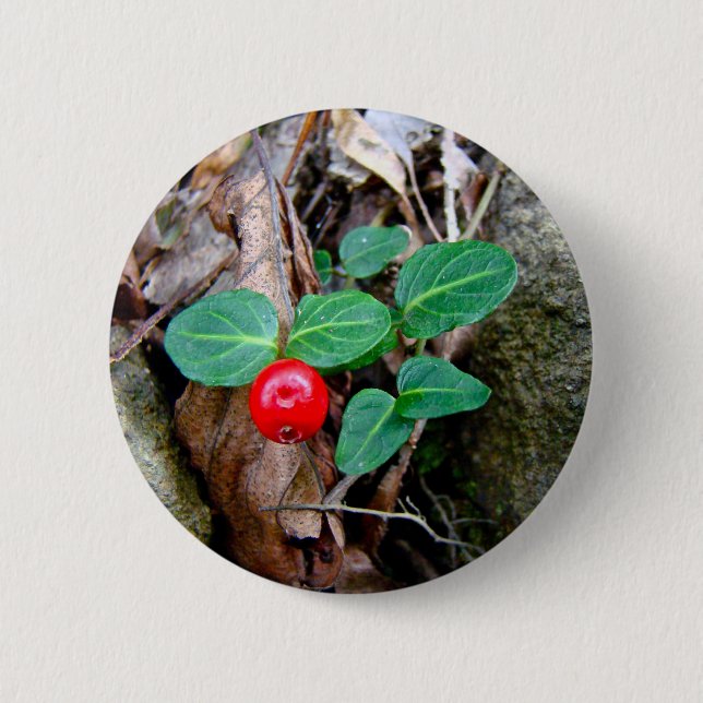 Partridge Berry Wildblume Button (Vorderseite)