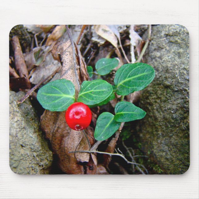 Partridge Berry Wildblume Mousepad (Vorne)