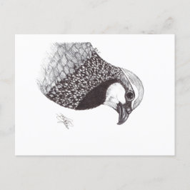 PARTRIDGE POSTKARTE