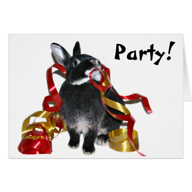 Party (Vorderseite (Horizontal))