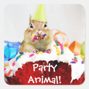 Party Animal Chipmunk-Aufkleber Quadratischer Aufkleber