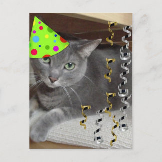 Party Animal Grey Cat Einladungspostkarte