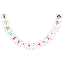 Party Animals Ready to Play Balls Rustic Farm Wimpelkette