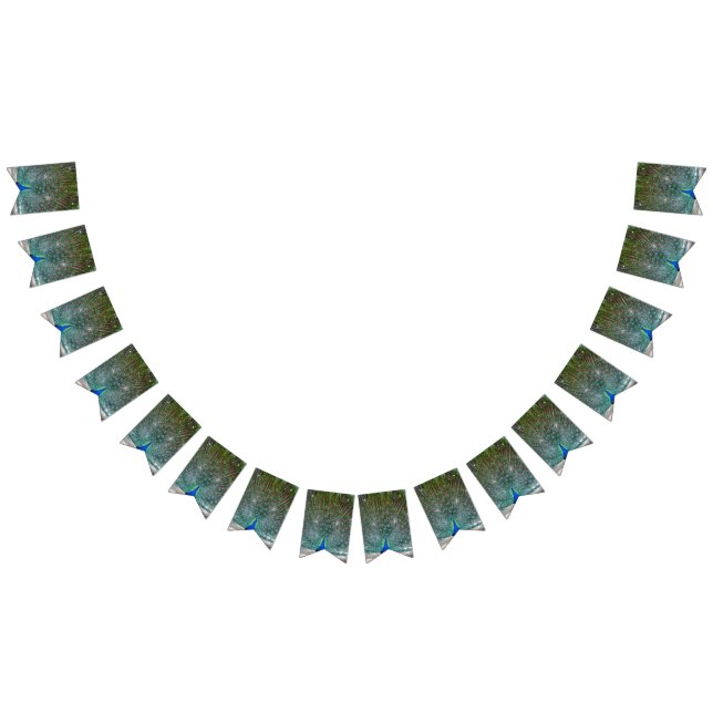 Party-Banner für Peacock-Design Wimpelkette (Alle)