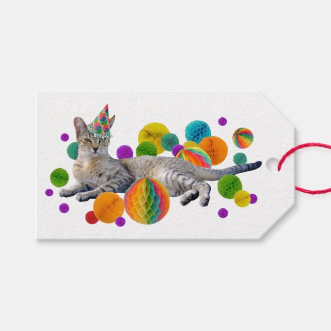 Party Cat Gift Tags Geschenkanhänger (Vorderseite (Horizontal))