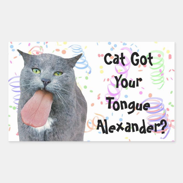 Party Cat Got Ihre Zunge? Rechteckiger Aufkleber (Vorderseite)