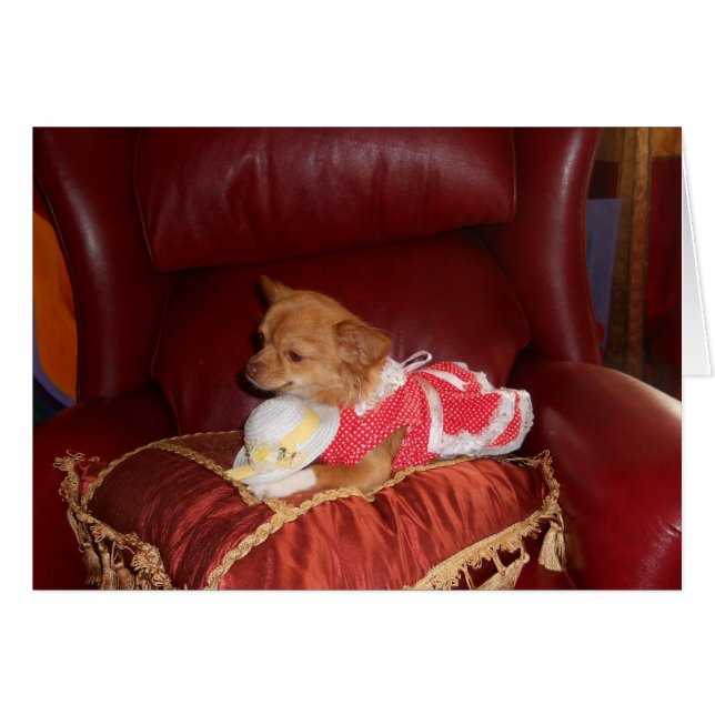 Party-Chi-Karte (Vorderseite (Horizontal))