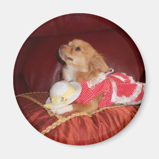 Party-Chi-Magnet Magnet