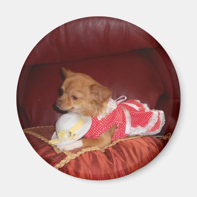 Party-Chi-Magnet Magnet (Vorne)