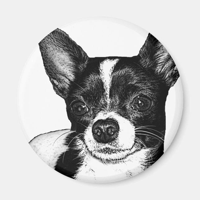 Party Chihuahua Magnet (Vorne)