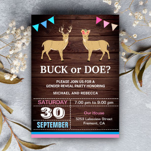 Party des Buck-oder Doe-Geschlechts Einladung