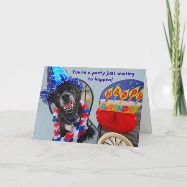 Party Dog Funny Birthday Karte (Vorderseite)