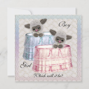 Party Einladung des Babygeschlechts