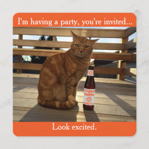 Party Einladung, die eine orange Katze Einladung