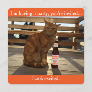 Party Einladung, die eine orange Katze Einladung