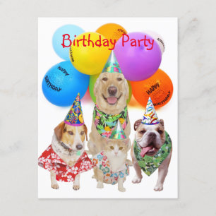 Party Einladung für individuelle Hunde