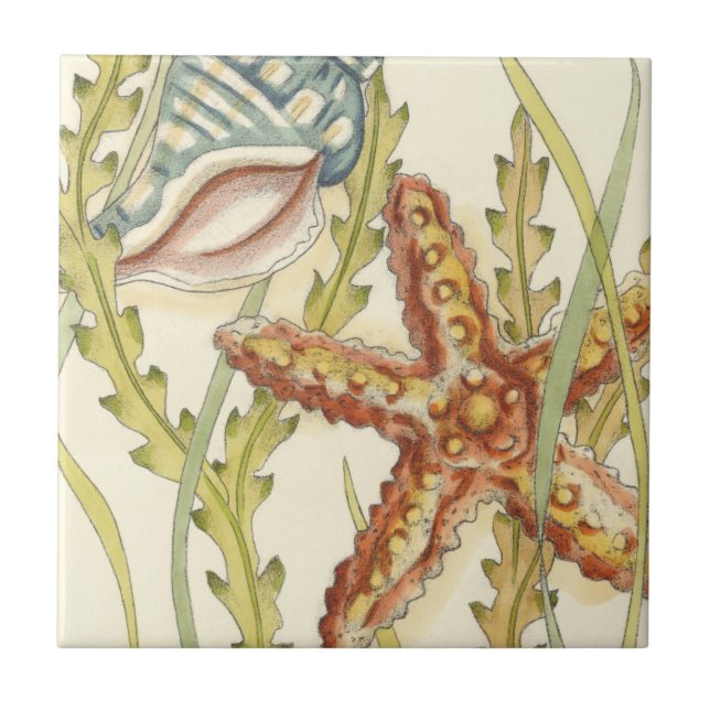 Party für mehrfarbige Muschel Fliese (Vorderseite)