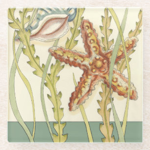 Party für mehrfarbige Muschel Glasuntersetzer