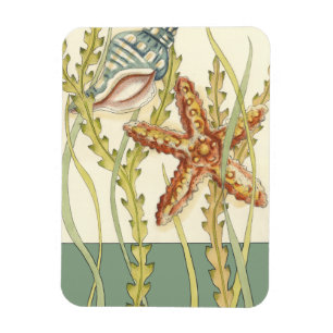 Party für mehrfarbige Muschel Magnet