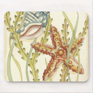 Party für mehrfarbige Muschel Mousepad