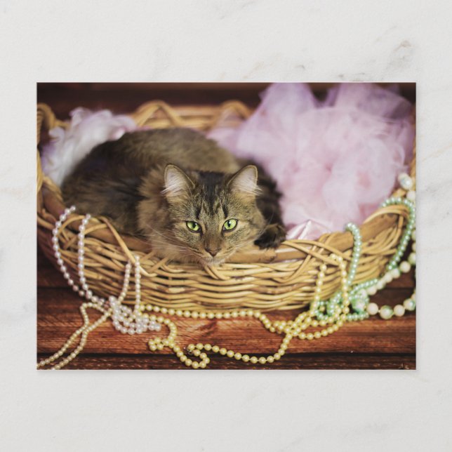 Party-Girl-Postkarte Einladungspostkarte (Vorderseite)