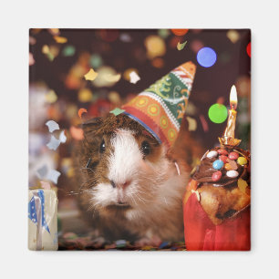 Party Guinea Magnet