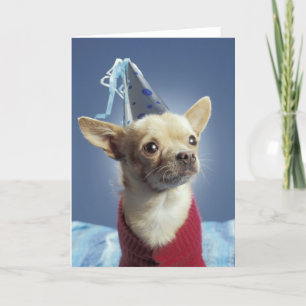 Party Hund Geburtskarte Karte
