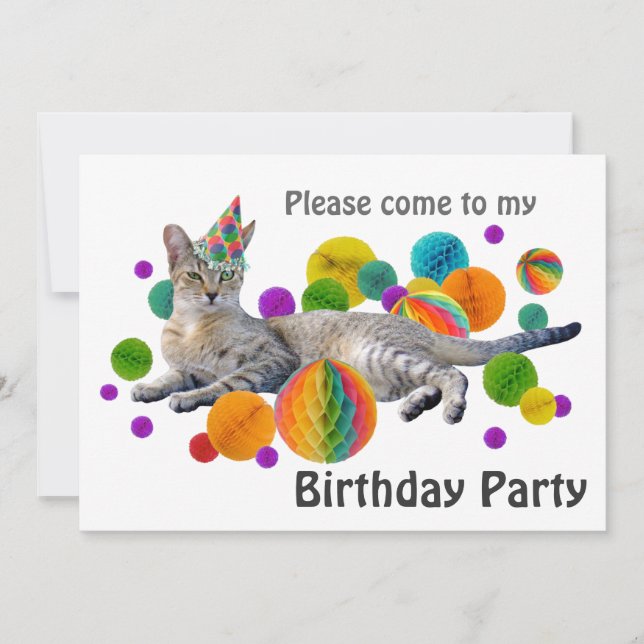 Party-Katzen-Geburtstags-Party Einladung (Vorderseite)