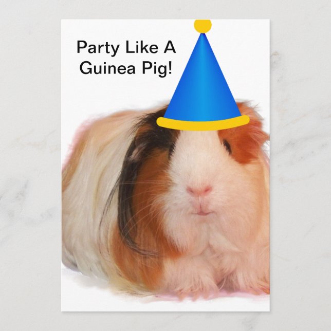 Party Like A Guinea Pig - Party Invitations Einladung (Vorderseite)