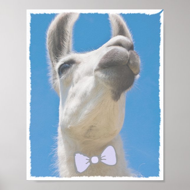 Party Llama mit Bow-Krawatte Poster (Vorne)