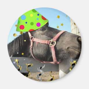 Party Magnet